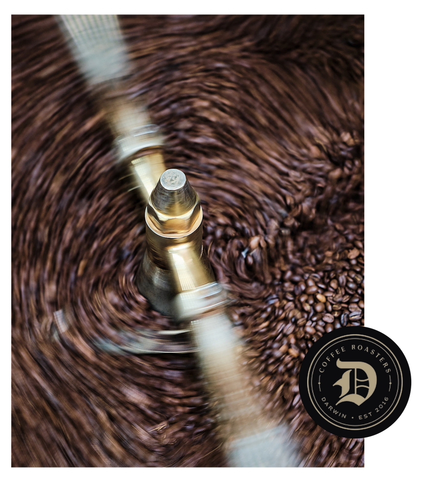 Dtown Coffee Roasters DTOWN COFFEE ROASTERS